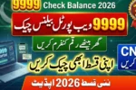 9999 Web Portal Check Balance 2026 – New Method to Verify Relief Status Online