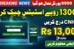 PMRRP 9999 Portal 2026 - Check Rs.13,000 Status Online